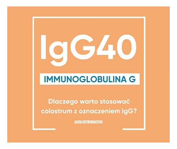 IgG 40 Immunoglobina G